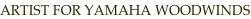shapeimage_2_link_0